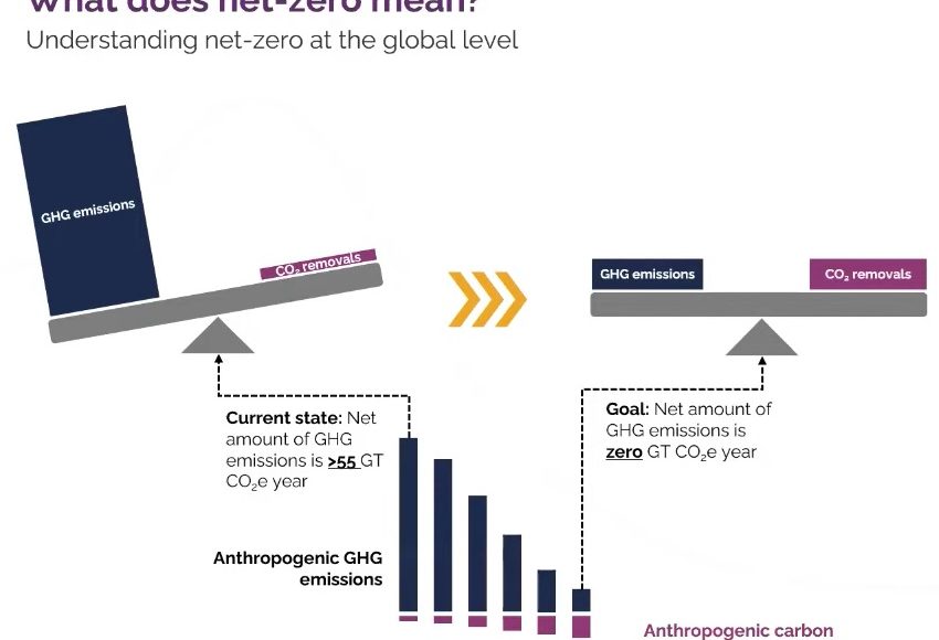 New global NetZero standard launched by the Science Based Targets